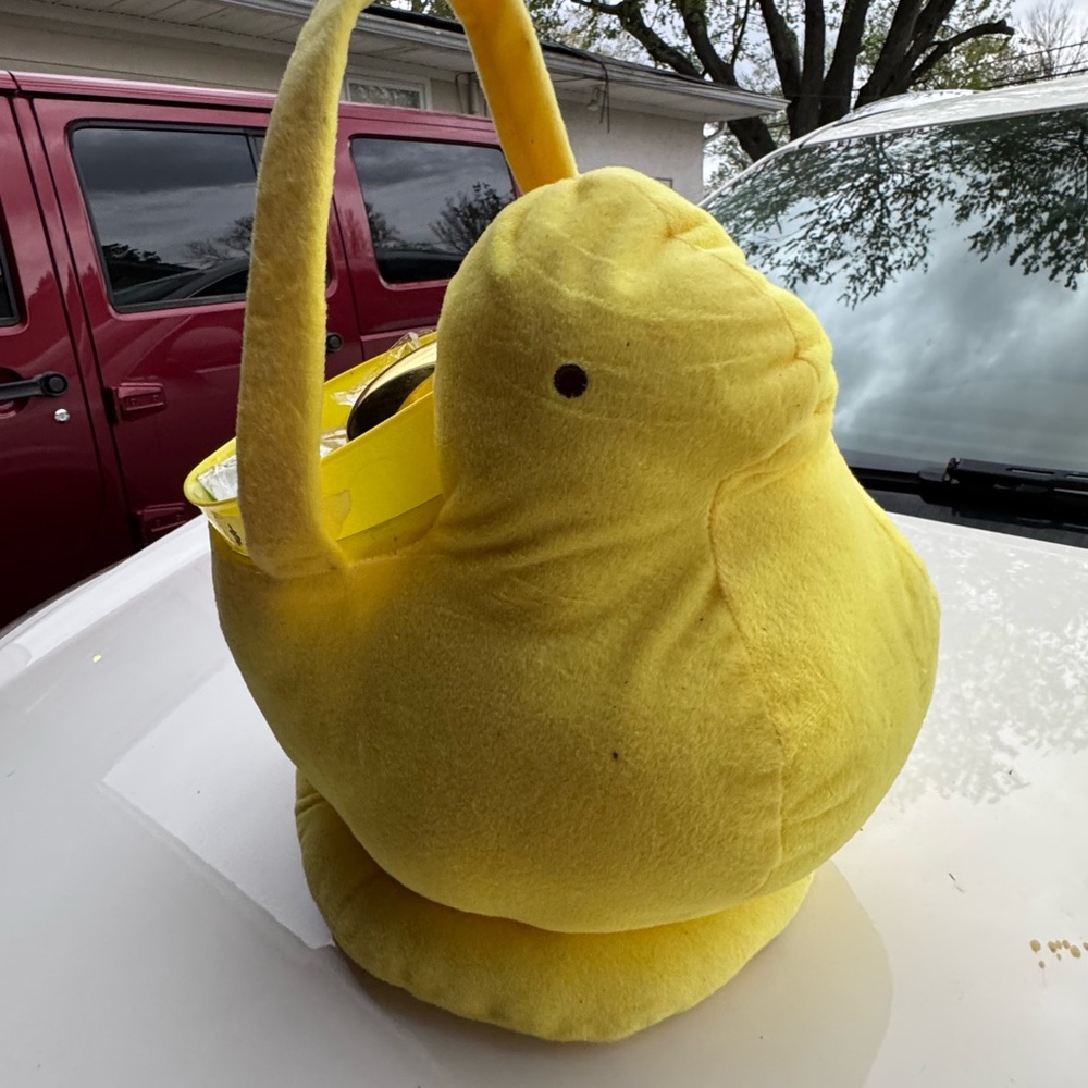 Yellow Plush Chick Basket